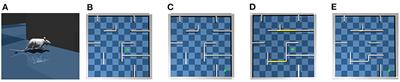 A computational model of learning flexible navigation in a maze by layout-conforming replay of place cells